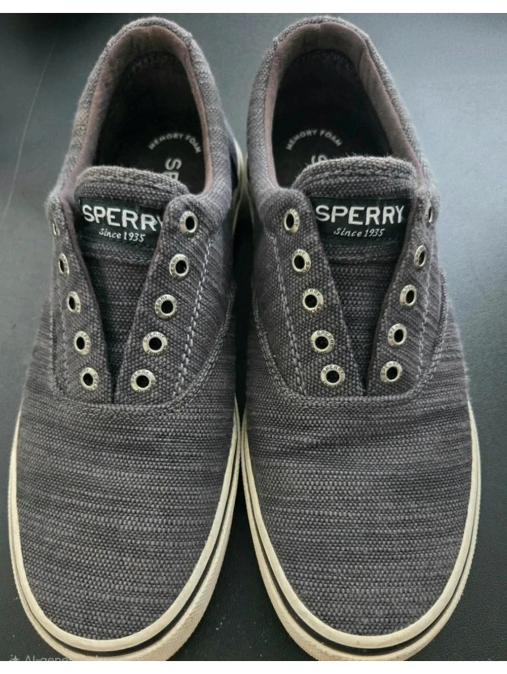 Sperry Mens Slip On Boat Shoes